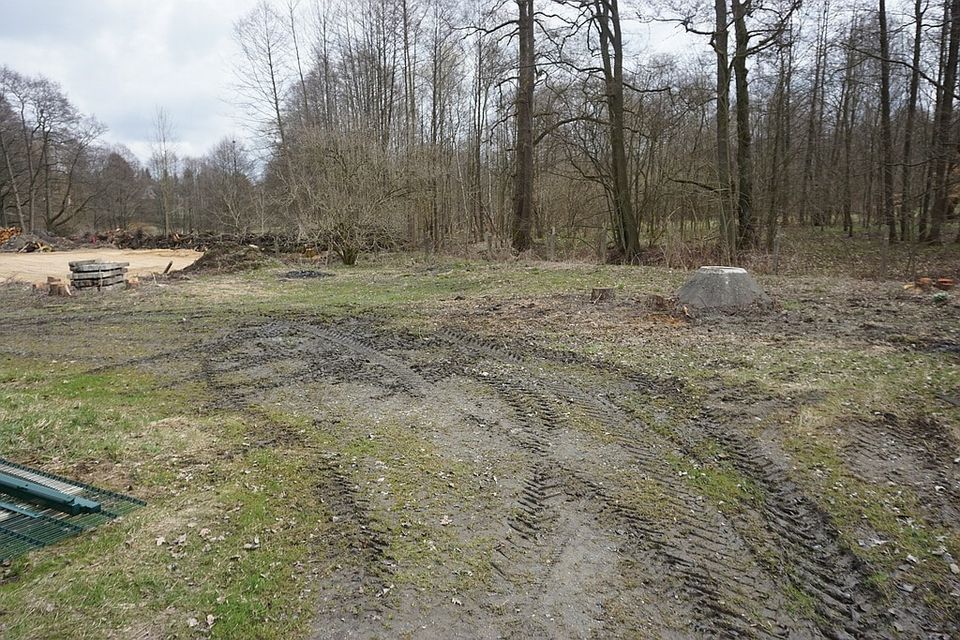 Grundstück im Herzen von Bad Brambach! in Bad Brambach