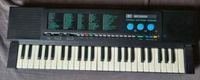 Portable Electronic Keyboard MC220 elite Hessen - Weilmünster Vorschau