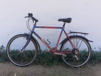 Cityrad Hercules Alabama 26" 21 Gänge West - Griesheim Vorschau