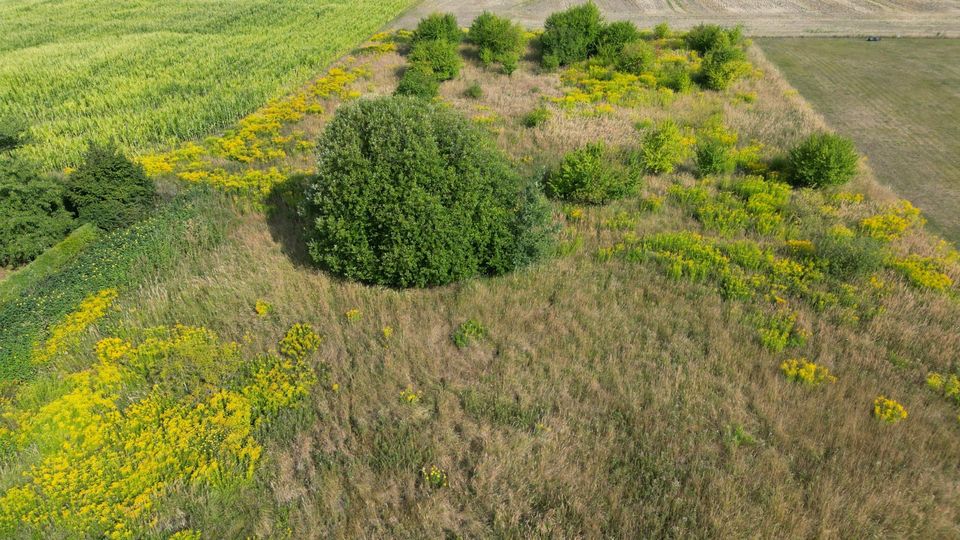 Zuhause in Vehlefanz - 10 Baugrundstücke im Grünen zu verkaufen! Direkt vom Eigentümer! in Oberkrämer