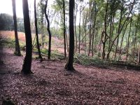 Wald Tauschen Rheinland-Pfalz - Kasbach-Ohlenberg Vorschau