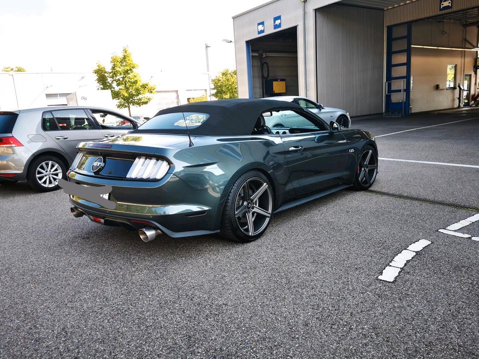 Ford Mustang GT Performance in Erdmannhausen