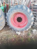 Trelleborg 600/55 R 30.5 Frankfurt am Main - Nieder-Eschbach Vorschau