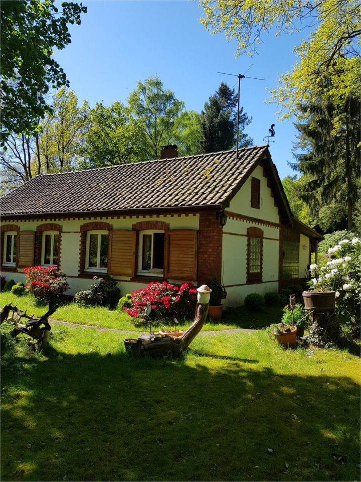 EH0091 Wochenendhaus in Hanstedt mit parkähnlichem Grundstück in Hanstedt