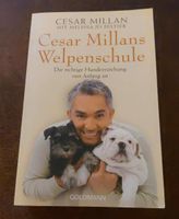 Cesar millans welpenschule Buch Hunde Erziehung Sachsen - Eppendorf Vorschau