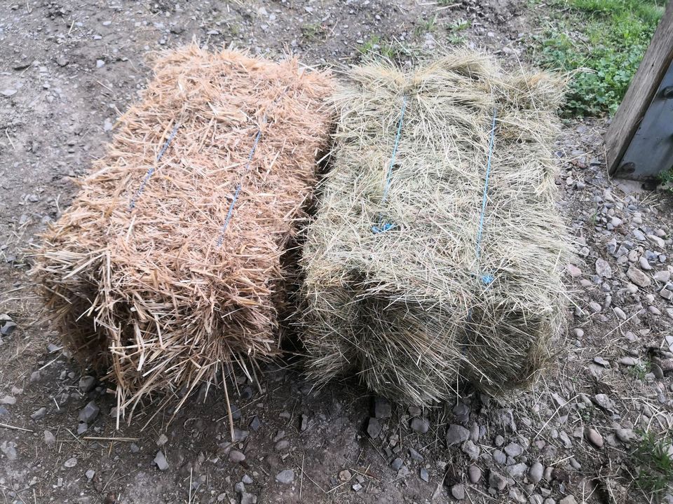 Heu Stroh Kleinballen in Straubenhardt