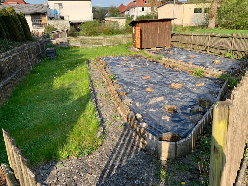 Eingezäuntes Garten Grundstück mit Geräteschuppen zu Verpachten in Schenklengsfeld