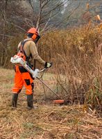 Gartenpflege,Mäharbeiten,Freischneider,Mäharbeiten,Gartenpflege Bayern - Obergriesbach Vorschau