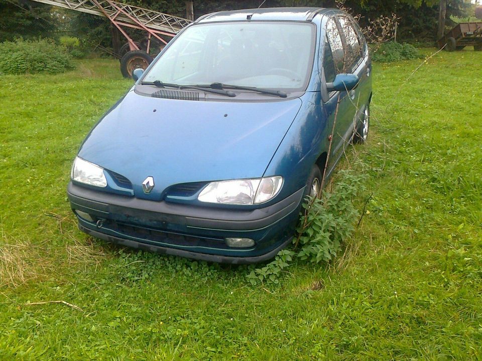 Renault Scenic Fenster Innenverkleidung Abdeckung Megane ´99 in Gröditz