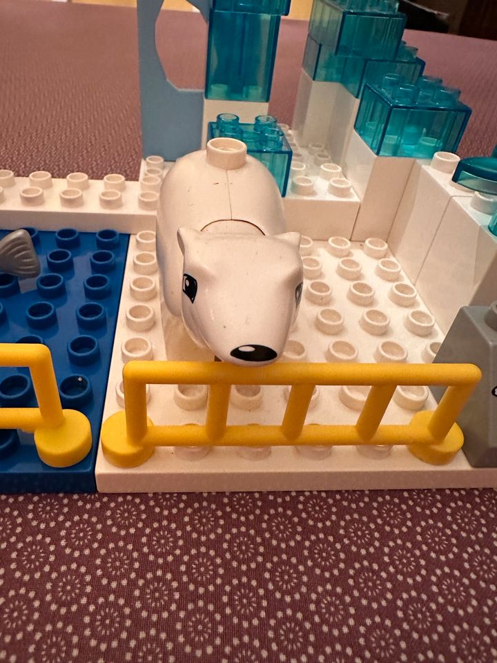 Lego Duplo Eisbär und Pinguin im Zoo in Heist