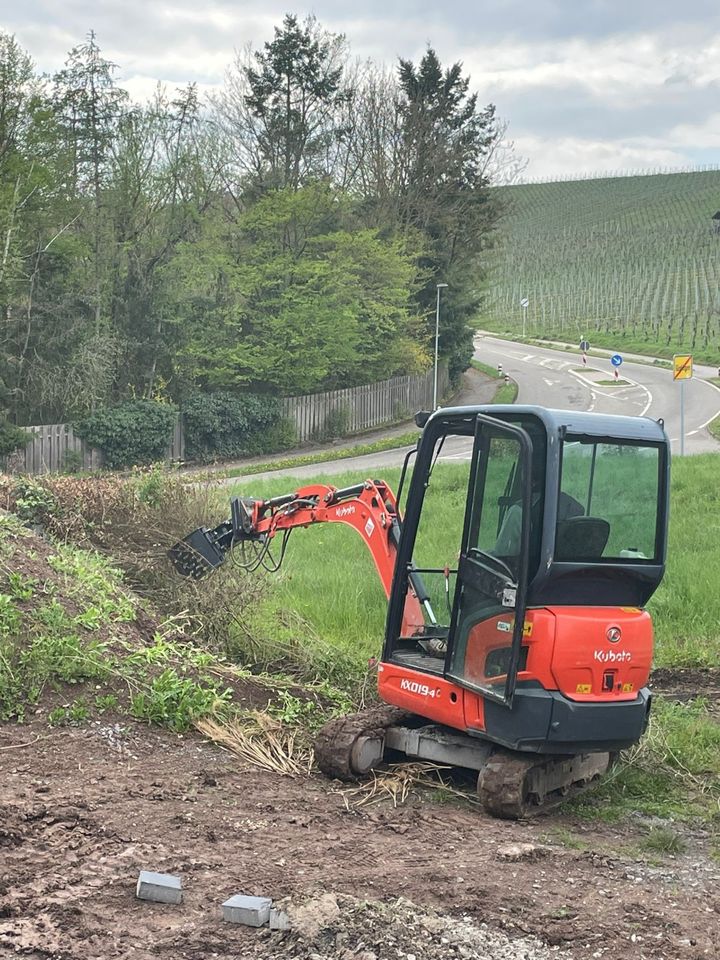 Bagger Minibagger mieten Vermietung Kubota KX19 1,9t in Güglingen