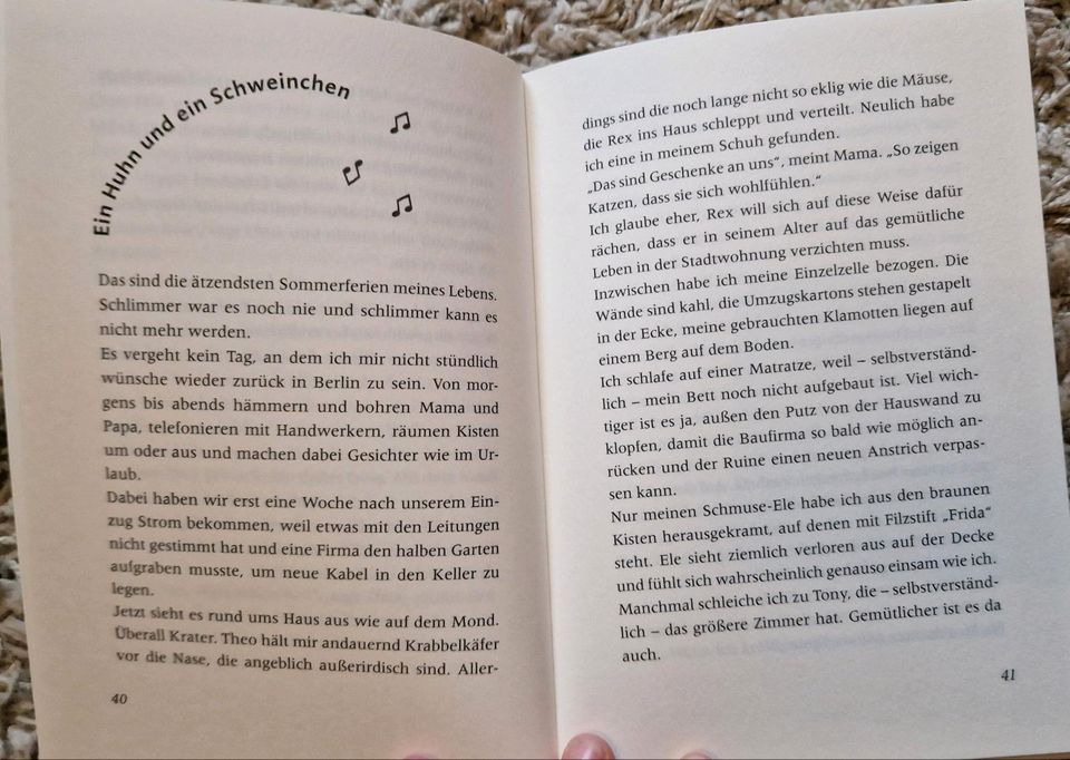 Kinderbuch - Frida Superstar - ab 10 Jahren in Müschenbach