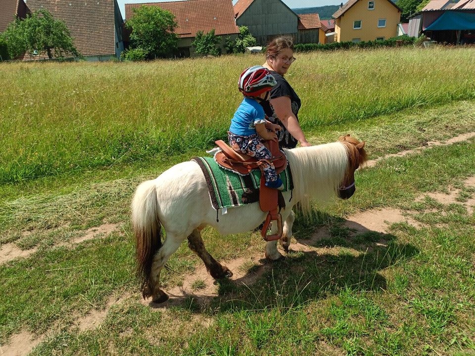 Ferienwohnung Bauernhof Kinderreiten Pferde Pony Schafe Hunde in Geroda