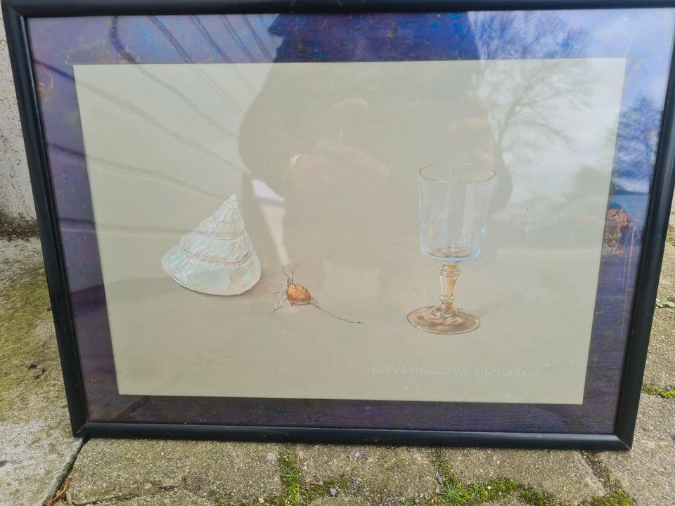 Kunstdruck Kunstbild Muschel Glas signiert in Wentorf