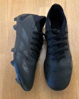 Adidas Fußballschuhe +Stutzen Gr. 42 Harburg - Hamburg Heimfeld Vorschau