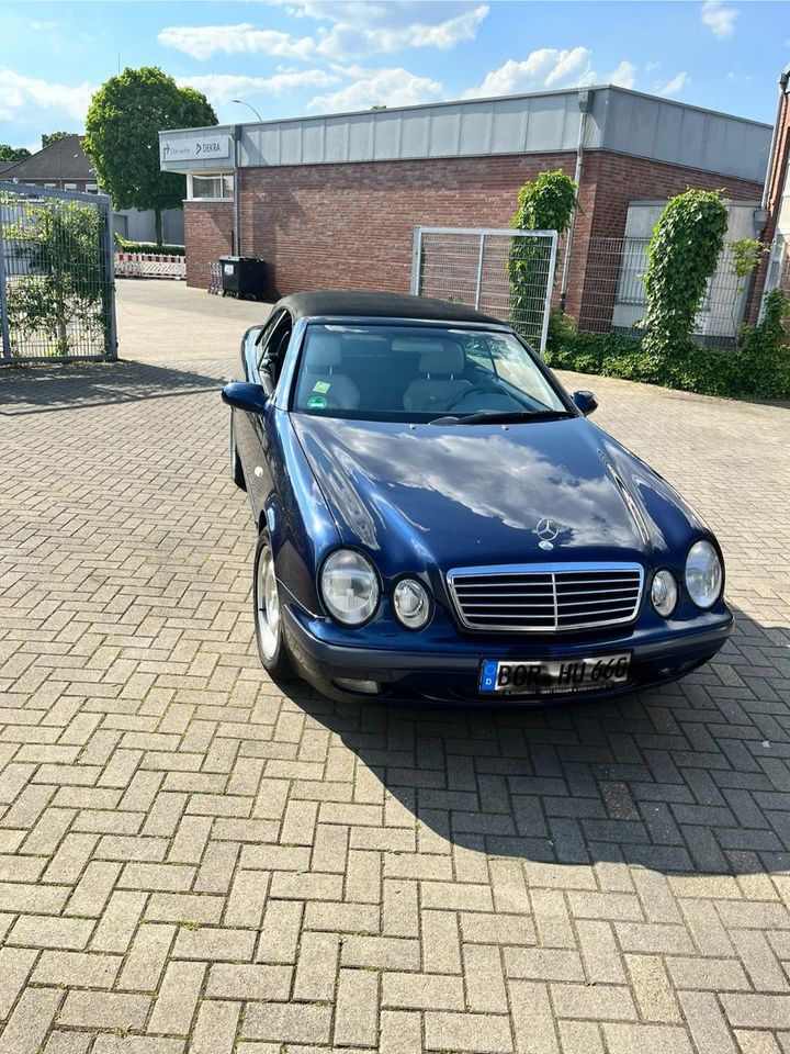 Mercedes-Benz 230 in Vreden