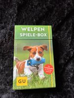 Welpe Spiele Box zu verkaufen Niedersachsen - Aurich Vorschau