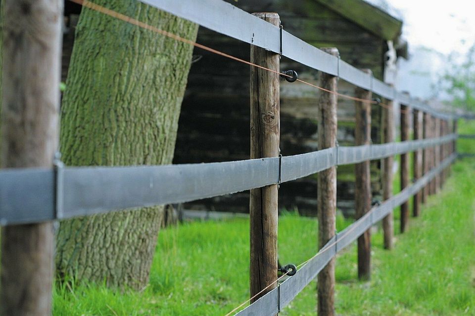 Suchen sie immer noch einen Pferdezaun in Wensin