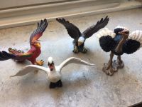 Vögel der Firma Schleich Nordrhein-Westfalen - Mönchengladbach Vorschau