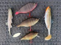 Kleine Hechtkombo Fox Hitcher Jerk/Crankbait + Softbaid NEU Brandenburg - Wusterwitz Vorschau