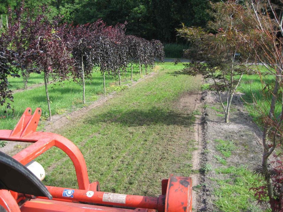 Mulch- und Mäharbeiten mit verschiedenen Arbeitsbreiten in Bad Zwischenahn