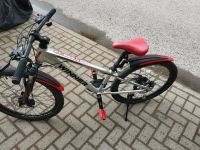 Fahrrad zu verkaufen Brandenburg - Bernau Vorschau