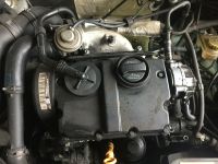 Lupo 3l  Motor ANy Nordrhein-Westfalen - Kreuzau Vorschau