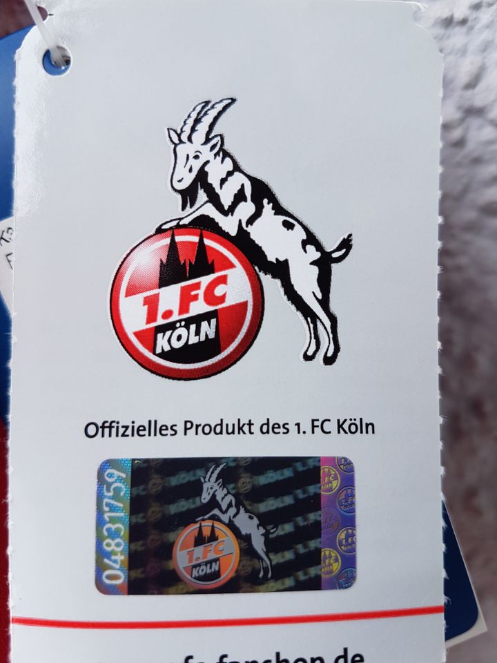 Biete 2 neue orginale Polo-Shirts vom 1.FC Köln!! Größe: L und XL in Burghaun