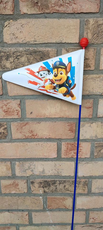 Fahrrad Flagge Paw Patrol Turtles in Brietlingen