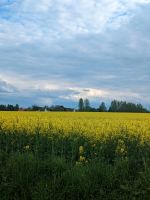 Schrebergarten in Soest gesucht Nordrhein-Westfalen - Soest Vorschau