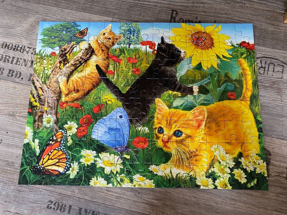 XXL Ravensburger Puzzle „Junge Kätzchen“ in Plaue