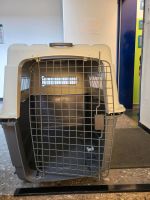 Hundetransportbox Anyone Wild Variety Nordrhein-Westfalen - Herford Vorschau