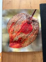 Poster physalis Rheinland-Pfalz - Landau in der Pfalz Vorschau