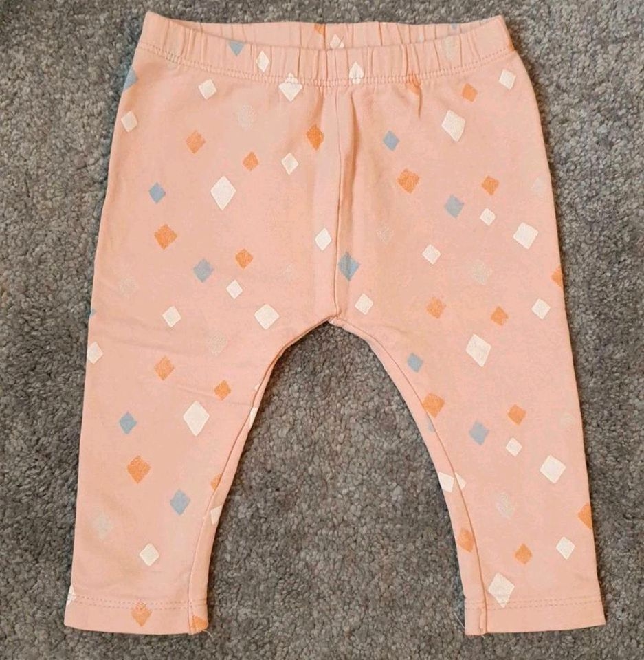 Leggins von Zara Gr. 68/74 in Malliß