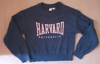 Pullover Mädchen Pulli Winter Kleidung Harvard University Baden-Württemberg - Leonberg Vorschau