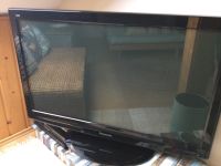 Panasonic Plasma TV 42 zoll Bayern - Lauf a.d. Pegnitz Vorschau