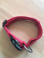 Trixie Hundehalsband Gr.M Wandsbek - Steilshoop Vorschau