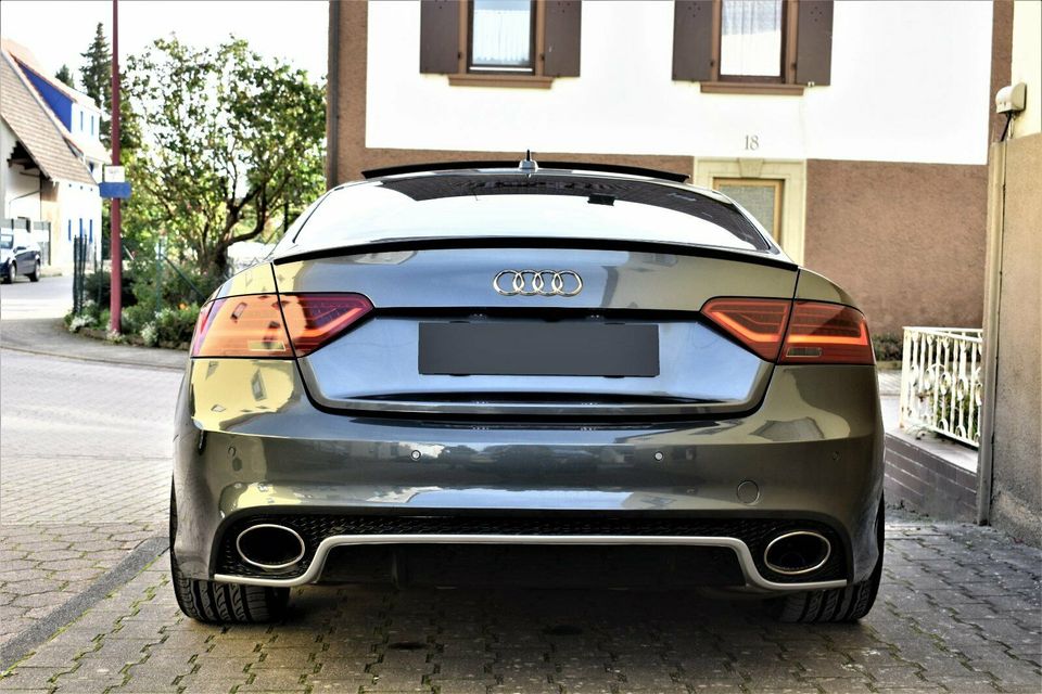 Audi A5 - RS5 - S5 Umbau - A4 A6 A7 A8 - RS4 RS5 RS6 RS7 R8 TT RS in Helmstadt-Bargen