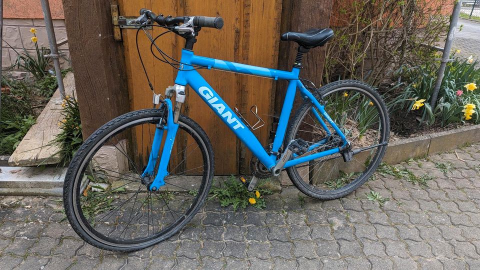 Herren Fahrrad Giant 28 Zoll in Schleusingen