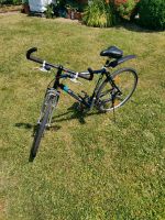 Herren Fahrrad Rennrad Bianchi 7005 Spillo Luna Aluminium Rheinland-Pfalz - Bogel Vorschau