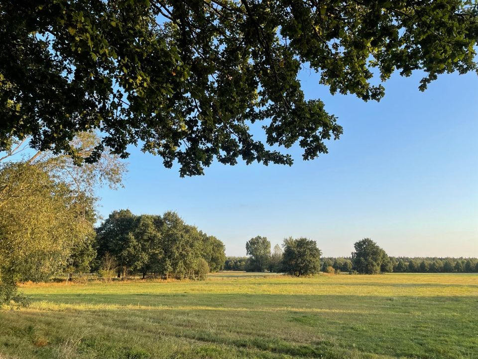 Baugrundstück Bauland Bauernhof Erschlossen Spreewald Scheune in Calau