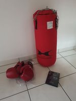 Box-Sack + Handschuhe + Trainings-DVD Bayern - Salzweg Vorschau