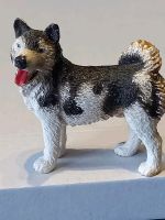 Schleich husky hund von 1995 im gutem Zustand Sachsen - Glauchau Vorschau