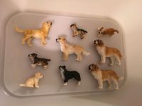 Schleich Hunde, Welpen, Bernhardiner, Golden Retriever Baden-Württemberg - Binzen Vorschau