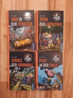 4 Bücher "Unsichtbar und trotzdem da!", Band 4, 5, 6, 7 Niedersachsen - Müden Vorschau