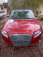 Audi A4 Cabriolet RECHTSLENKER ! Nordrhein-Westfalen - Büren Vorschau