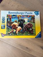 Ravensburger Puzzle Hunde 100 Teile neu Bayern - Coburg Vorschau