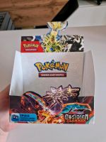 Pokemon Obsidian Flammen Display LEER Baden-Württemberg - Kraichtal Vorschau