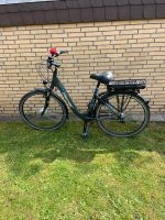 Ebike Fischer Schleswig-Holstein - Itzehoe Vorschau