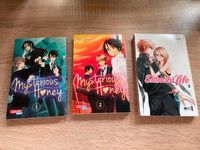 Manga: Mysterious Honey 1 , Shinobi Life 1 Bonn - Duisdorf Vorschau